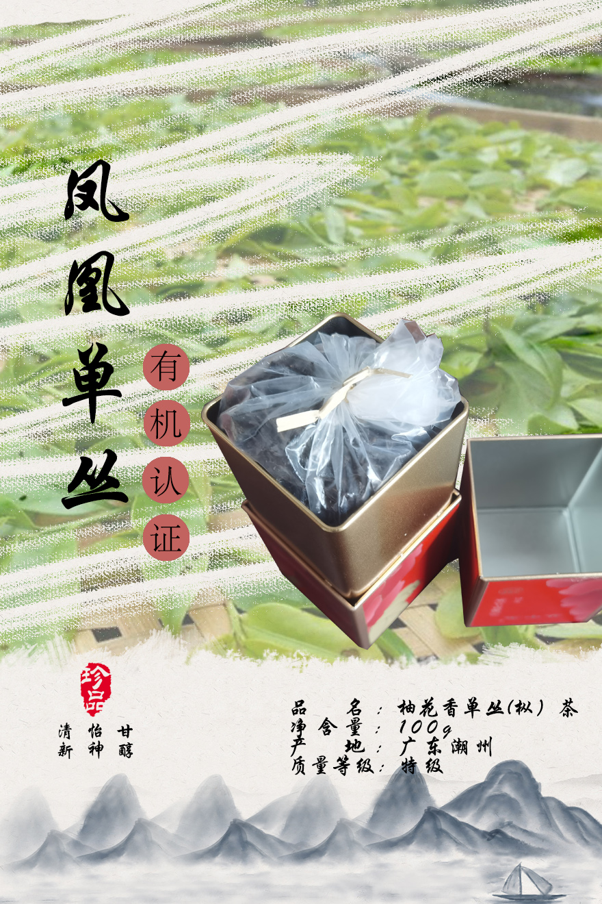 柚花香单丛（枞）茶