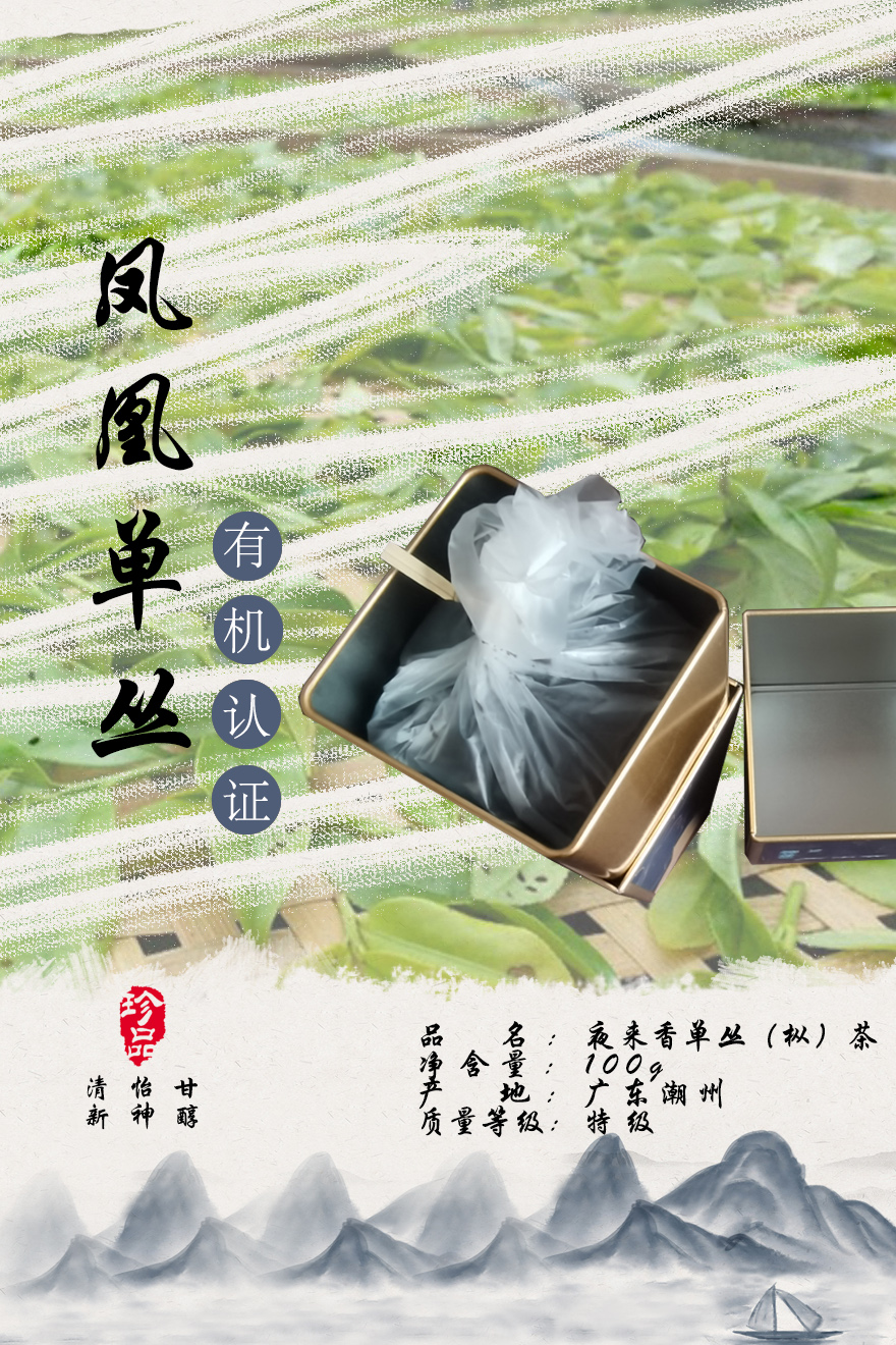 夜来香单丛（枞）茶