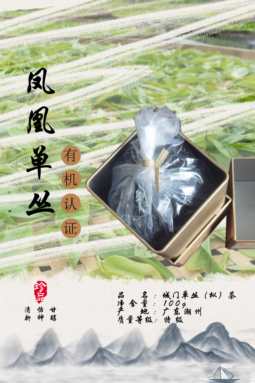 城门单丛（枞）茶