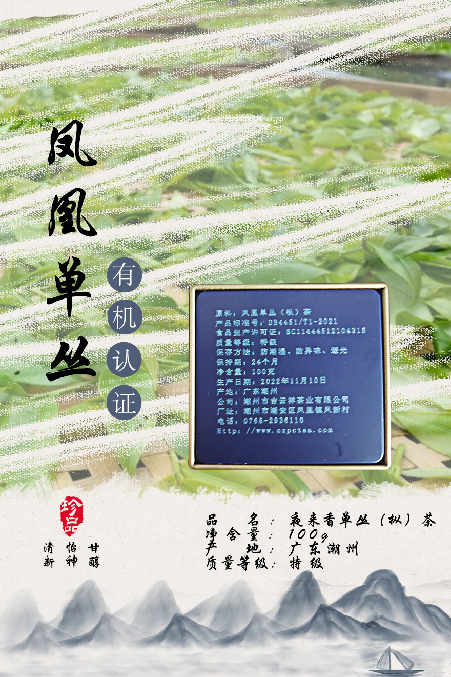 夜来香单丛（枞）茶